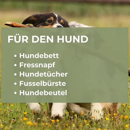Quartier Vierwald | 4 Fewos | Sauna Apartment Alpirsbach