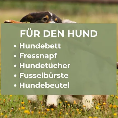 Quartier Vierwald | 4 Fewos | Sauna Alpirsbach