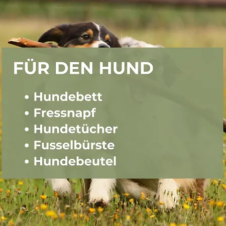 Apartment Quartier Vierwald | 4 Fewos | Sauna *